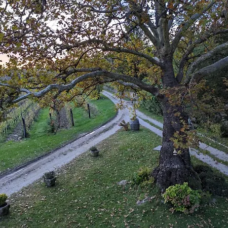 Castel San Mauro * Gorizia