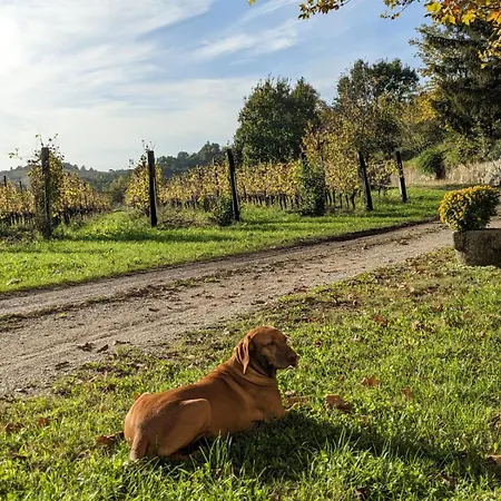 Castel San Mauro * Gorizia