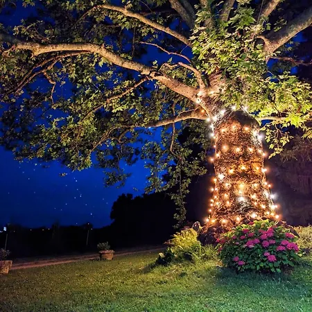 Castel San Mauro Konukevi *